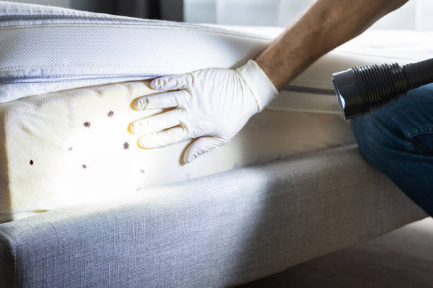 Best Best Pest Control Companies  in Decatur, MS